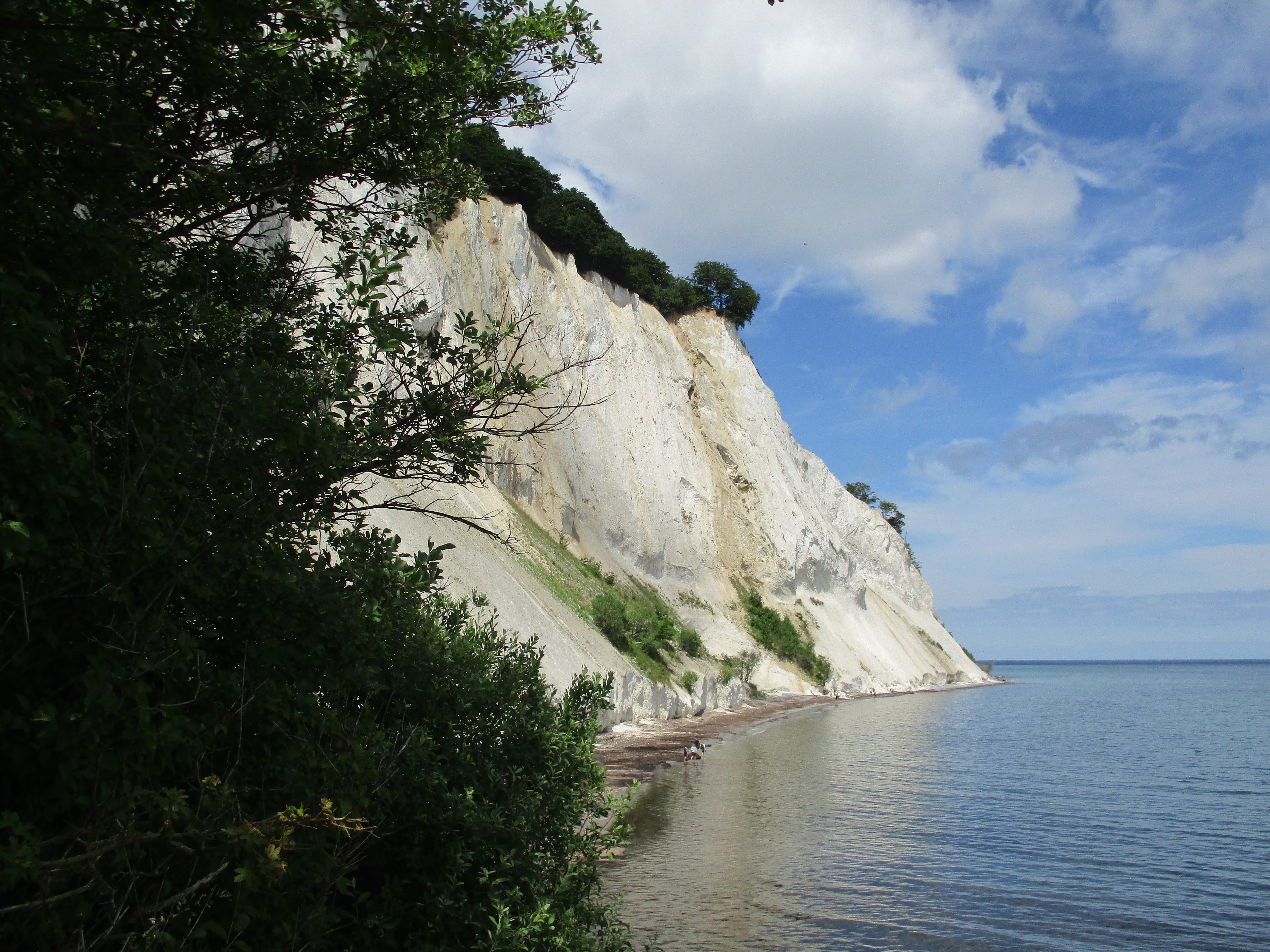 Møns Klint